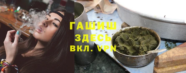 индика Богородицк