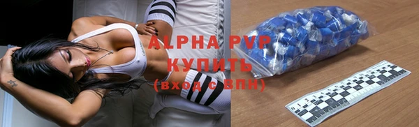 индика Богородицк