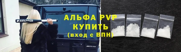 индика Богородицк
