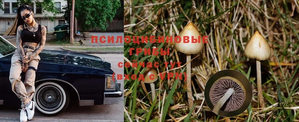 молекула духа Балабаново