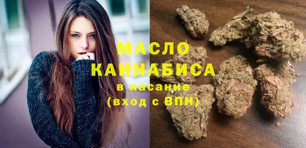 индика Богородицк