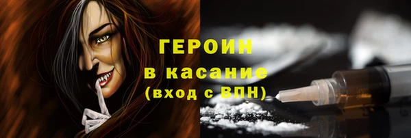 индика Богородицк