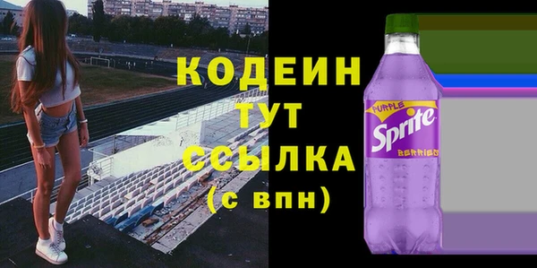 индика Богородицк