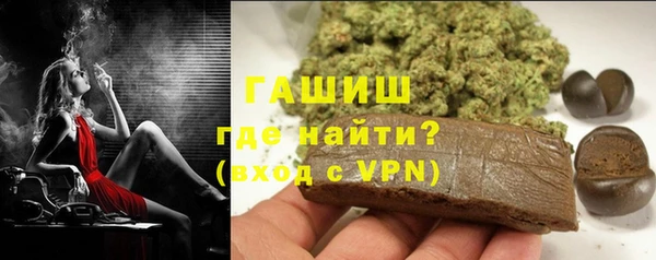 индика Богородицк