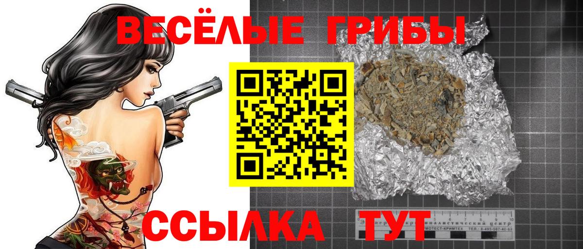 Псилоцибиновые грибы GOLDEN TEACHER  Вход с VPN  закладки  Обь  Галлюциногенные грибы Psilocybe 